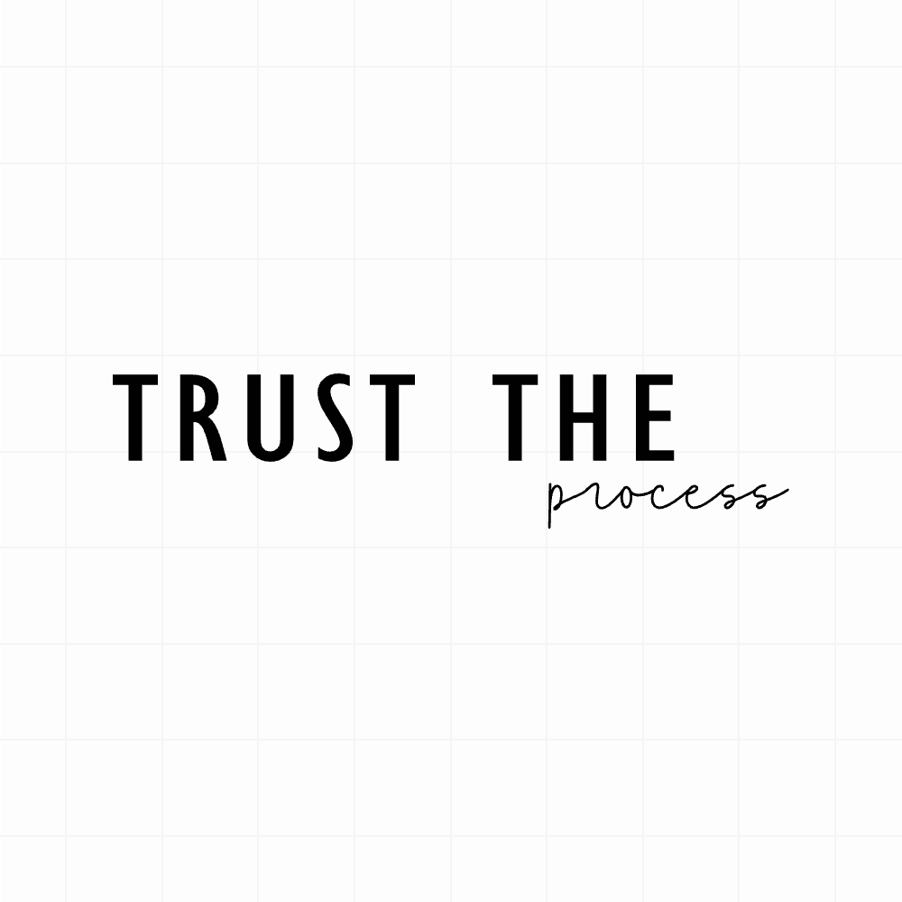 Trust the process 2 - Motivatie sticker - vinyl sticker kopen bij De Stickerbaas